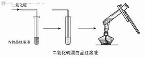 品紅試劑