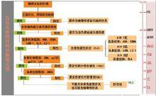 圖3 自身免疫性肝病檢測模式