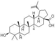 分子結構