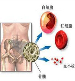 尿白細胞