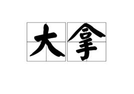 大拿[詞語]