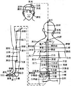 膀胱經穴位