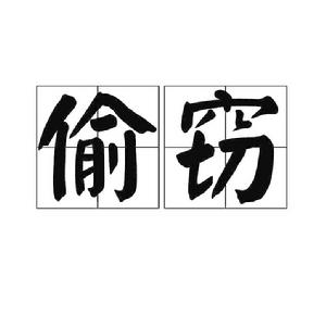 偷竊[詞語]