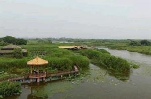 德清下渚湖國家濕地公園