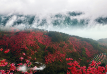 雲霧山