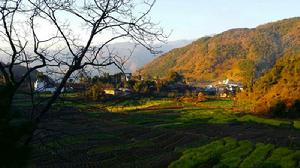 茨竹坪村[雲南省保山市隆陽區瓦窯鎮下轄村]