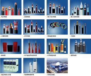 上海索谷電纜集團有限公司