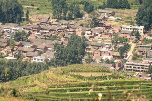 （圖）樂樹村全貌