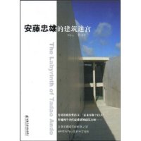 《安藤忠雄的建築迷宮》