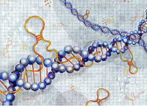 非編碼RNA