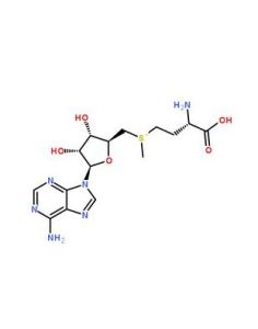 甲硫氨酸腦啡肽