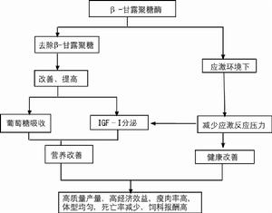 二糖酶缺乏症