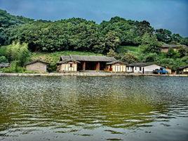 水池村[安徽埇橋區西寺坡鎮下轄村]