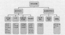 海洛因成癮的遺傳學候選基因