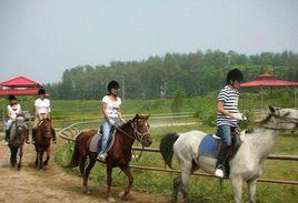 馬背之交 馬背之交