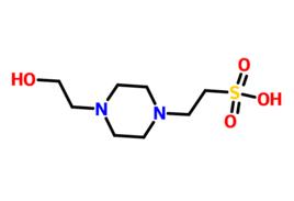 4-羥乙基哌嗪乙磺酸