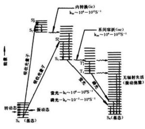 第一激發態