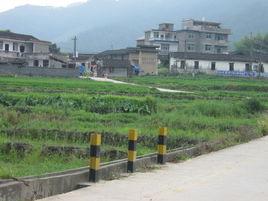 大布村[福建省詔安縣太平鎮大布村]