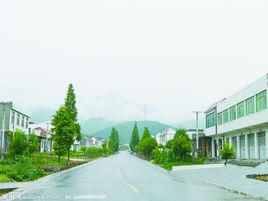 新農村[山東省德州市陵城區新農村]