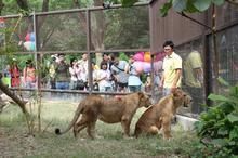 高雄市壽山動物園