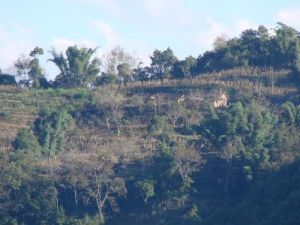 馬安山自然村