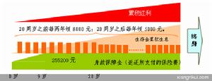 太平洋人壽鴻運人生兩全保險