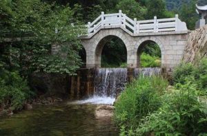 亞武山國家森林公園