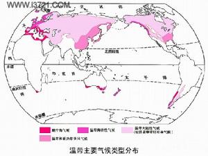 氣候分類溫帶主要氣候分布圖