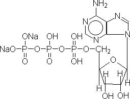 注射用三磷酸腺苷二鈉