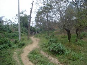 進村道路