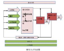 繼任人才生態圖