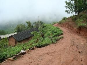 萬松庵自然村路面