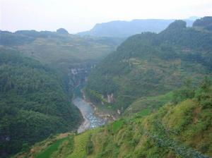 坪上村[貴州省思南縣楊家坳鄉坪上村]