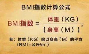 bmi指數