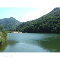 甘山森林公園