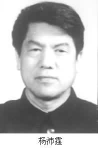 楊沛霆 (1931～)