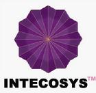 （圖）INTECOSYS