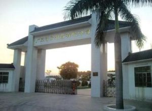 廣東奇靈製藥有限公司 廣東奇靈製藥有限公司