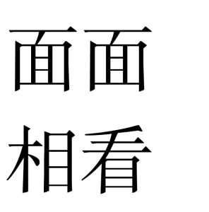 面面相看