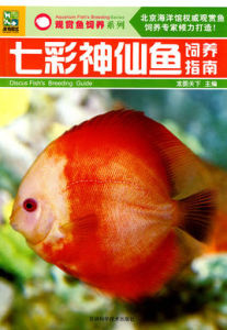 七彩神仙魚飼養指南