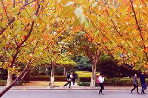 東華大學研究生院