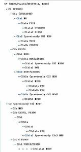 單倍群C[Y染色體DNA單倍群C]