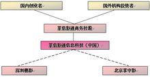 掌信彩通公司架構