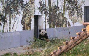 王城公園動物園