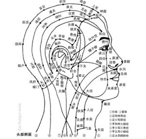 禾髎穴