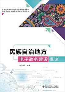 民族自治地方電子政務建設概論