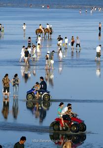 上海九段沙濕地國家級自然保護區