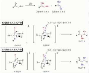 齊默曼-特拉克斯勒模型