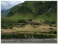 雲南省傈僳族自治州貢山自治縣五里村