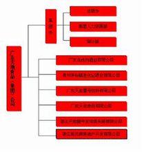 廣東天地食品集團組織結構